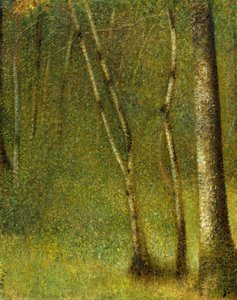 ポンタウベルトの森、1881年。 作： Georges Pierre Seurat
