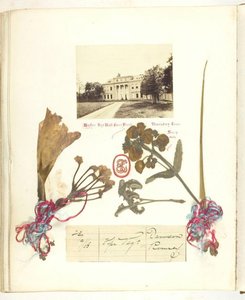 無題 [ドライフラワーのあるブロードランドの眺め]、1868 年。