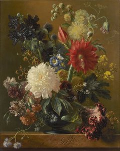 静物 作： Georgius Jacobus Johannes van Os