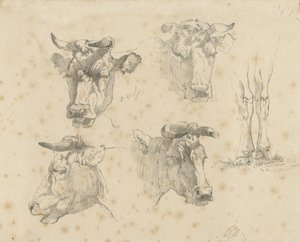 4 つの牛の頭と牛の足の学習シート 作： Gerard Bilders