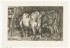 餌箱にいる 2 頭の牛 作： Gerard Jan Bos