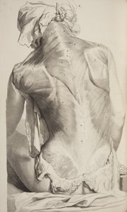 Govard Bidlooによる人体の解剖学、1685年