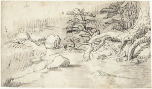 小川近くの木の根の研究 作： Gerard ter Borch (I)