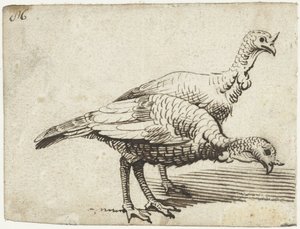 2 つの七面鳥 作： Gerard ter Borch (I)