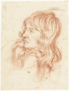 左の若い男性の頭 作： Gerard ter Borch (II)