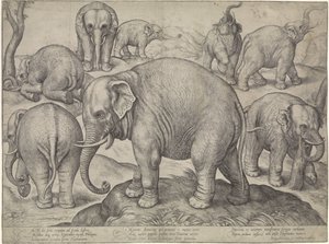 8頭のゾウ 作： Gerard van Groeningen