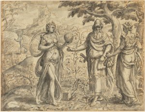 いばらの間で受けた種、種まきのたとえからc。 1573。 作： Gerard van Groeningen