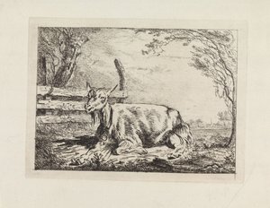 フェンスの近くに横たわっているヤギ 作： Gerard van Nijmegen