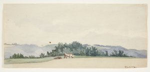 牛のいる丘陵の風景 作： Gerda Henning