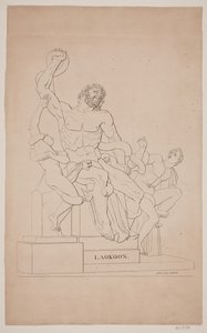 ラクーン 作： Gerhard Ludvig Lahde