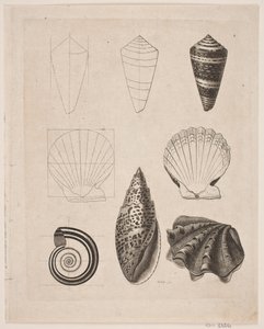 カタツムリと黒板 作： Gerhard Ludvig Lahde