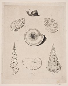 カタツムリと黒板 作： Gerhard Ludvig Lahde