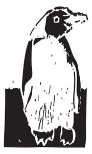 ペンギン