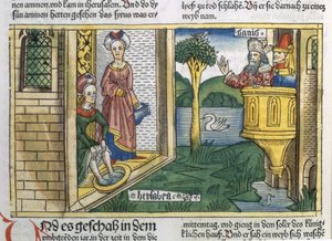 2サミュエル11 1-5ダビデはニュルンベルク聖書（Biblia Sacra Germanaica）からのバトシェバの入浴を見ます（色の木版画）