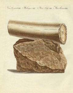発掘された象牙の武器の一部（彩色された彫刻 作： German School