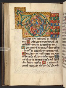追加。 60629, f.43v 葉状の、時には動物の形をした、擬人化された装飾 (ベラム) のある金と色の大きなフレームのイニシャル