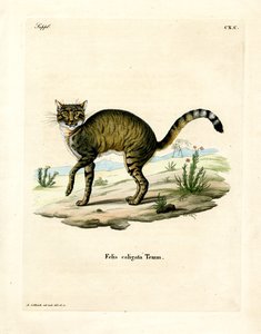 アフリカン・ワイルドキャット（彩色済み彫刻 作： German School
