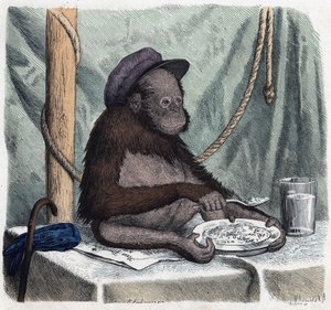 教育熱心なオランウータンは、スプーンでご飯を食べる。Wenn Jemand eine Reise thut, so kann er was erzahlen」（誰かが旅をすると、これがわかる）では、フランツ・ヴィーデマンによるドイツ語の物語。