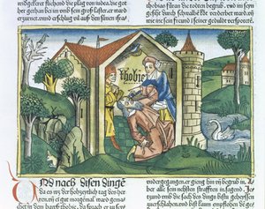 外典：トビトはニュルンベルク聖書（Biblia Sacra Germanaica）（色の木版画）からのスズメの糞で目がくらんでいる 作： German School