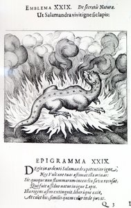 サラマンダーが燃えているように、石、マイケル・マイヤー作のアタランタ・フジエンスのエンブレムXXIX、1617年 作： German School