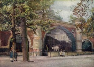 クマの囲い、ベルリン動物園、ドイツ（カラーリソ） 作： German School