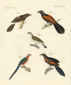美しく登ってくる鳥たち（彩色済み彫刻 作： German School
