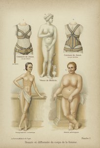 女性の身体の美しさと奇形 作： German School