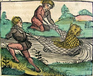 1493年のニュルンベルク年代記に掲載されたライオンキャットフィッシュモンスターの捕獲
