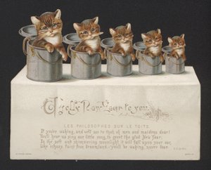 バケツの中の猫、年賀状（クロモリ写真 作： German School