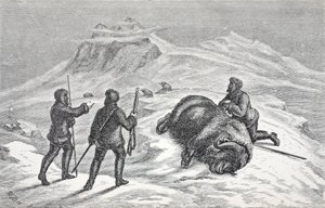 ムスク牛の死、パブ。ロンドン1874 作： German School