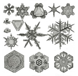 雪の結晶の形の違い 作： German School
