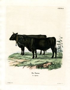 家畜（彩色済み彫刻 作： German School