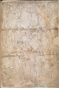 巨人、ピグミー、ブレミエ、ドネストルを含む 17 の巨大な種族の絵、「アルンシュタイン聖書」の挿絵 作： German School