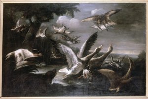 ワシ、野生のガチョウ、犬 作： German School