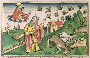 出エジプト記 8 20-32 エジプトの七つの災い: モーセとハエの群れ、「ニュルンベルク聖書 (Biblia Sacra Germanaica)」から (色付きの木版画) 作： German School