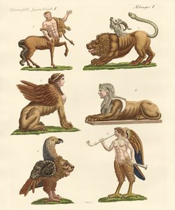 素晴らしい動物 作： German School