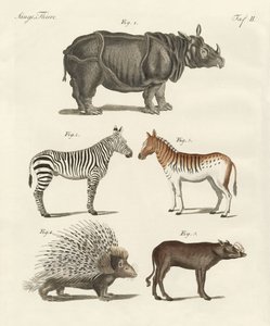 四足の動物（彩色済み彫刻 作： German School