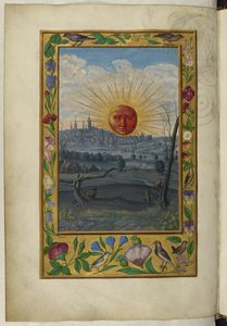Harley 3469 f.33v The Sun、「Splendor Solis」のイラスト 作： German School