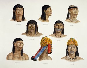 南米インディアンの代表、旅行記（ブラジル）（詳細は92095を参照）