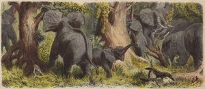 アフリカのジャングルに生息する象の群れ（彩色済み彫刻 作： German School