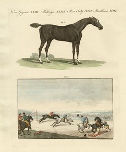 イギリスの競馬 作： German School