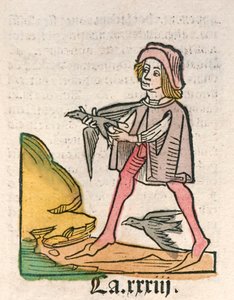 Hortus Sanitatis [The Garden of Health] ジェイコブ・メイデンバッハ作 1491年刊行(木版画) 作： German School