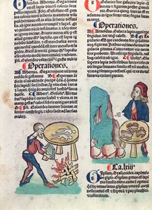 Hortus Sanitatisのイラスト入りのページ、1491年（色の木版画）