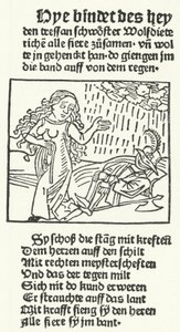 1491年にアウグスブルクでハンス・シェンスペルガーが出版した、ロマンティックな英雄ヴォルフディートリッヒの物語の挿絵（彫刻）。 作： German School