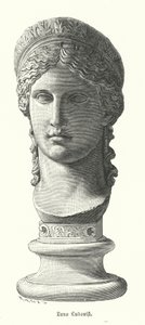 Juno Ludovisi、古代ローマの大理石の巨大な頭部で、マルク・アントニーとオクタヴィア・マイナーの娘アントニーナ・マイナーが女神Junoとして描かれている（エングレーヴィング