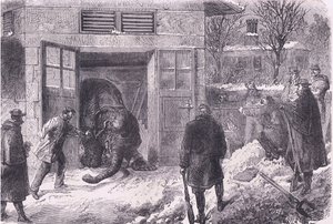 1890年頃にCassell and Company Limitedから出版された『Cassells History of the War between France and Germany』のJardin D