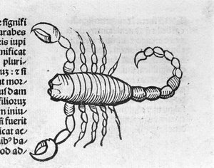Le Scorpio - In Treatise by Johannes Angeli De Magnisconnectionibue annorum revolutionibus ac eorum pefectionibus.アウグスブルク、エルハルト・ラトドルト 作： German School