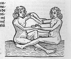 双子座 - Johannes Angeli De Magnisconnectionibue annorum revolutionibus ac eorum pefectionibusの論文にて。アウグスブルク、エルハルト・ラトドルト 作： German School