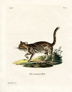 霜降り猫（彩色済み彫刻 作： German School