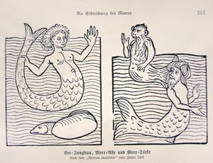 ジェイコブ・マイデンバッハの「Hortus Sanitatis」より人魚とマーマン 作： German School